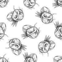 Hand drawn vector illustrations - seamless pattern of whole coconut and coconut with straw. Tropic  background. Perfect for invitations, greeting cards, posters, prints, banners, flyers etc