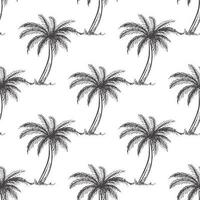 Hand drawn sketch seamless pattern  of palm tree. vector