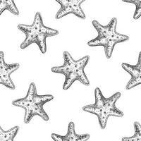 Hand drawn vector illustrations - seamless pattern of starfish. Marine background. Perfect for invitations, greeting cards, posters, prints, banners, flyers etc