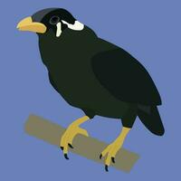A beautiful myna bird is sitting on a branch. This is vector art work.
