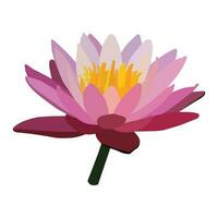 A beautiful water lily flower vector art work.