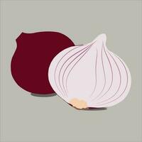 A beautiful red onion vector art work.