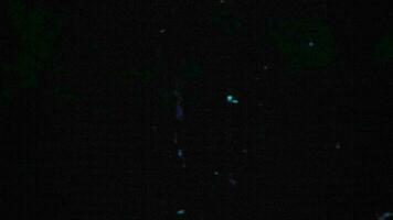Abstract specs of light flicker and pulse - Loop video