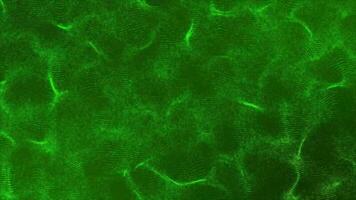 ljud Vinka mönster av 3d abstrakt grön ljus partiklar på grön bakgrund. ljud spektrum dansa, ljud Vinka animering video