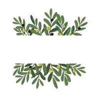 Horizontal frame with olive branches and fruits in a cartoon style. Vector illustration. Olive frame for packaging, label, and banner. Isolated on white background