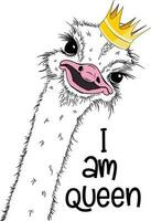 Portrait of a three Funny Ostrich queen wiht crown . Humor card, t-shirt composition, hand drawn style. Vector illustration.