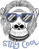 Portrait of Monkey in a color glasses. Stay cool - lettering quote. Poster, t-shirt composition, hand drawn style print. vector