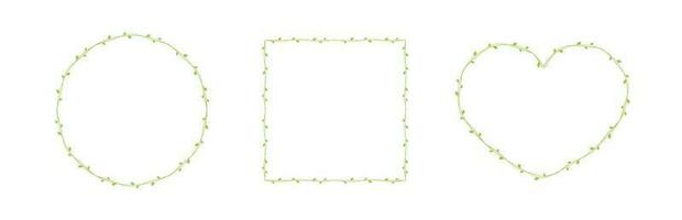 Green vine frames and borders set, floral botanical design element vector illustration