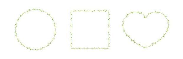 Green vine frames and borders set, floral botanical design element vector illustration