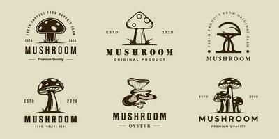 set of mushroom logo vector vintage illustration template icon graphic design. bundle collection of various oyster organic food sign or symbol for farm product with retro style