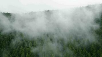 aéreo ver de hermosa montaña paisaje. niebla sube terminado el montaña pendientes video