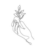 continuous line drawing hand holding leaf plant illustration vector