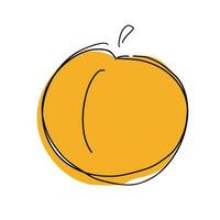 Peach fruit isolated on white background. Simple doodle art, cartoon icon. Doodle vector