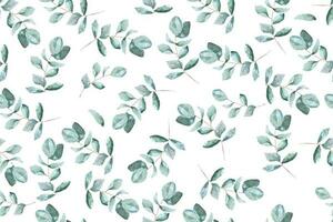 Pattern of eucalyptus leaves with watercolor.For   fabric and wallpaper.Botanical background vector