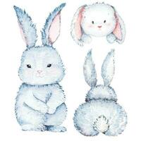 watercolor rabbit cute.Cartoon bunny illustration with watercolor.Hand drawn animal illustration.Suitable for children. vector