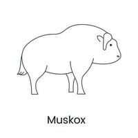 Musk ox line icon in vector, illustration of animal vector