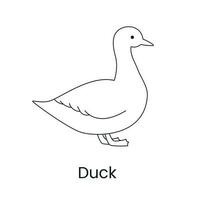 Duck line icon in vector, illustration of a bird. vector