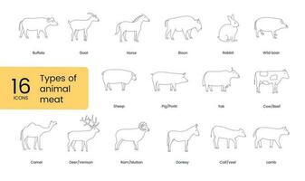 Types of animal meat, linear icon in vector. vector