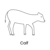 Calf icon in vector. linear illustration. vector