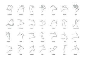 Icons of poultry head meat and farm animals, vector illustration of the line. Types of meat emu, ostrich, pig and porkt, donkey and chicken, rooster, turkey.