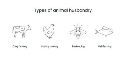 Types of animal husbandry line vector icon cow, chicken, bee and fish.