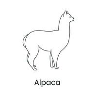 alpaca icono línea en vector, ilustración de un animal. vector