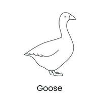 Goose vector line icon, illustration of a bird.