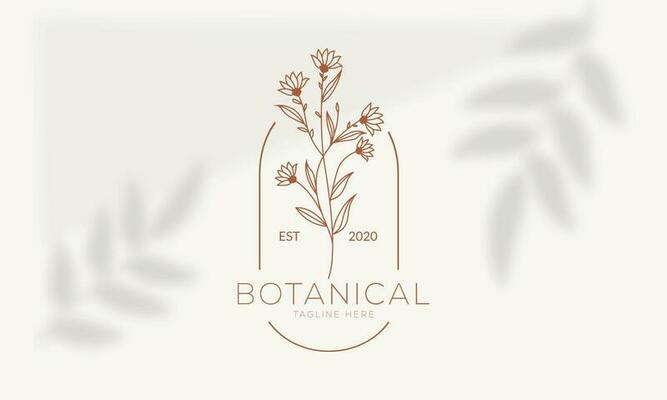 Boutique Logo Vector Art, Icons, and Graphics for Free Download