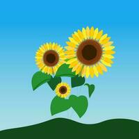 Sunflowers landscape, vector illustration. Sunflowers on blue sky background. Art , Illustration.