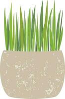 Fresh green grass in pot. Element of home decor. vector