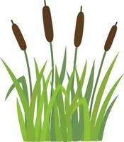 Reeds in grass vector