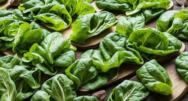 Romaine microgreens are on the table. ai generation photo