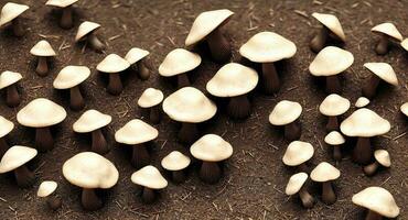 Liberty Cap mushrooms. ai generation photo