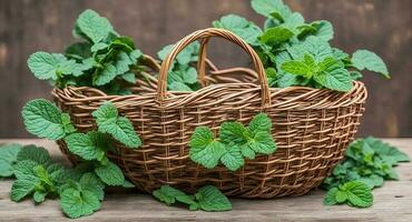 Lemon balm in a beautiful basket. ai generation photo