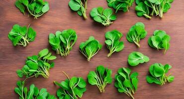 Arugula microgreen lies on a tree. ai generation photo
