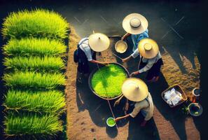 Top view of farmers harvesting rice in the agriculture fields. People lifestyles and occupation concept. Digital art illustration. photo