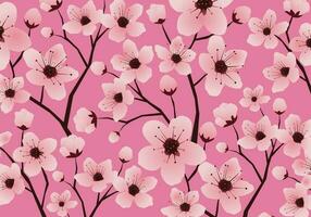 Cherry blossom  Japanese Sakura Flower Seamless Pattern vector