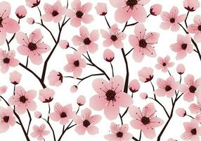 Cereza florecer japonés sakura flor sin costura modelo vector