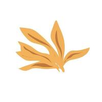 Autumn leaves icon vector isolated on white background for your web and mobile app design, Autumn leaves logo concept