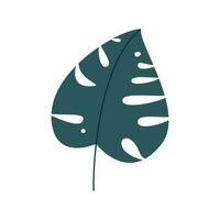 Monstera leaf  simple illustration  vector icon design element