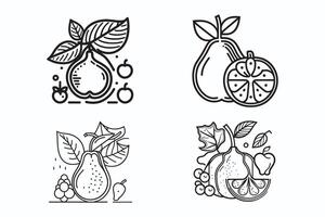 Fruit Icon set, cartoon fruits isolated on white background, Simple lineart outline elements collection, clean simple design vector