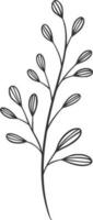 botánico línea arte, vector, diseño, ilustración, gráfico, clipart vector