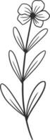 Wildflowers line art, vector, design, illustration, graphic, clipart vector