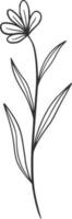 Wildflowers line art, vector, design, illustration, graphic, clipart vector