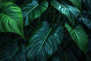 Green tropical leaves background. Illustration photo