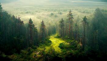 Aerial view of green forest on the mountain with sky background. photo