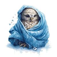 Cute watercolor owl. Illustration photo