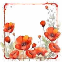 Red watercolor poppy flower frame. Illustration photo