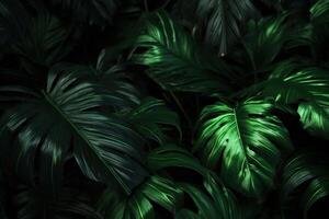 Green tropical leaves background. Illustration photo