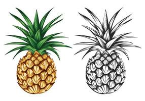 A black and white and a wonderfull pineapple vector illustration.